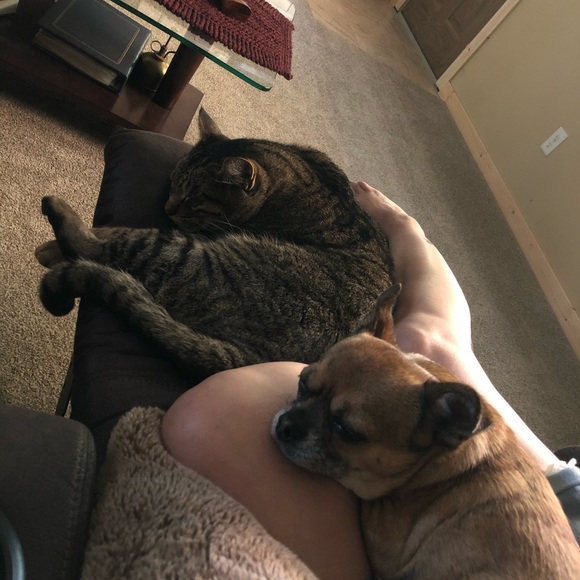 💀About your seller💀 - Picture 3 of 3